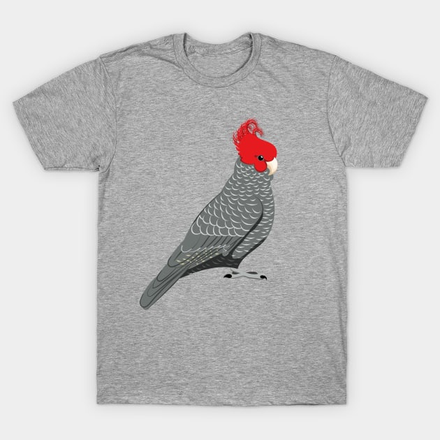 Gang gang cockatoo T-Shirt by Zolinstudio